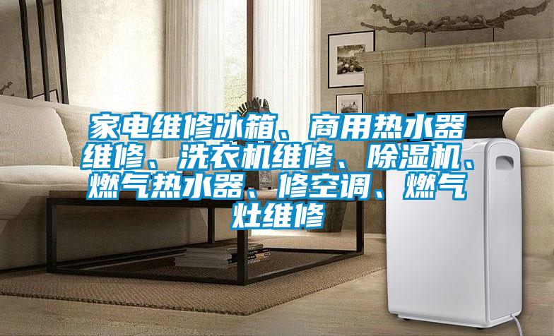家電維修冰箱、商用熱水器維修、洗衣機維修、除濕機、燃氣熱水器、修空調、燃氣灶維修