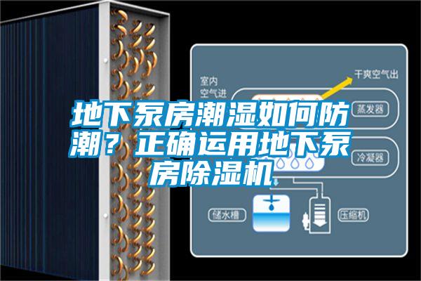 地下泵房潮濕如何防潮？正確運用地下泵房除濕機
