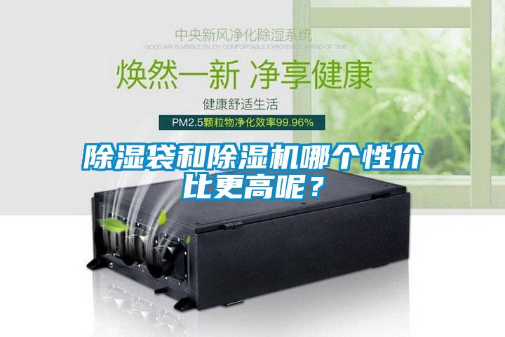 除濕袋和除濕機哪個性價比更高呢？