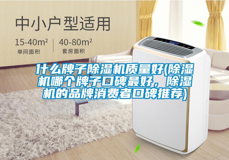 什么牌子除濕機質(zhì)量好(除濕機哪個牌子口碑最好，除濕機的品牌消費者口碑推薦)