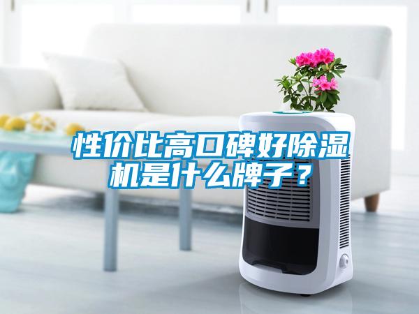 性?xún)r(jià)比高口碑好除濕機(jī)是什么牌子？