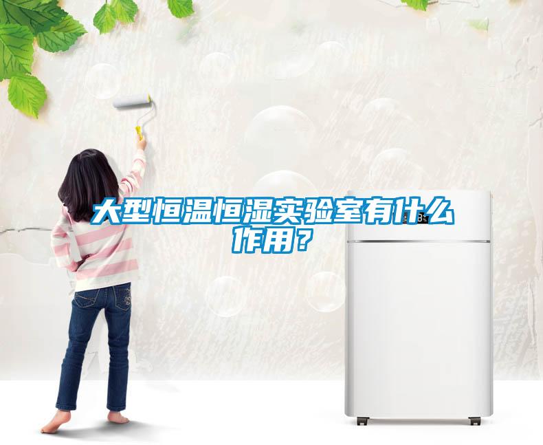 大型恒溫恒濕實驗室有什么作用？