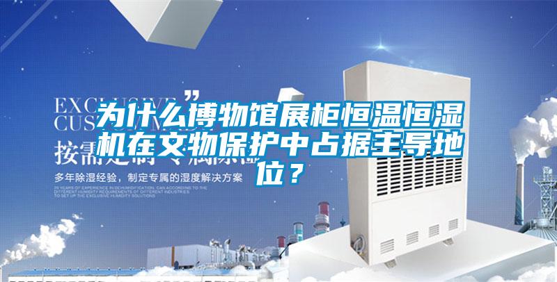 為什么博物館展柜恒溫恒濕機(jī)在文物保護(hù)中占據(jù)主導(dǎo)地位？