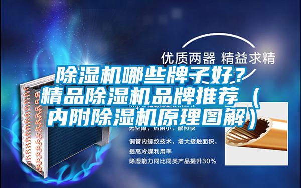 除濕機(jī)哪些牌子好？精品除濕機(jī)品牌推薦（內(nèi)附除濕機(jī)原理圖解）