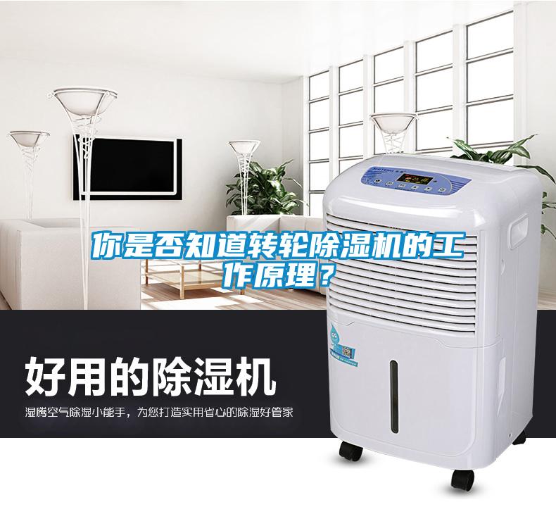你是否知道轉(zhuǎn)輪除濕機(jī)的工作原理？