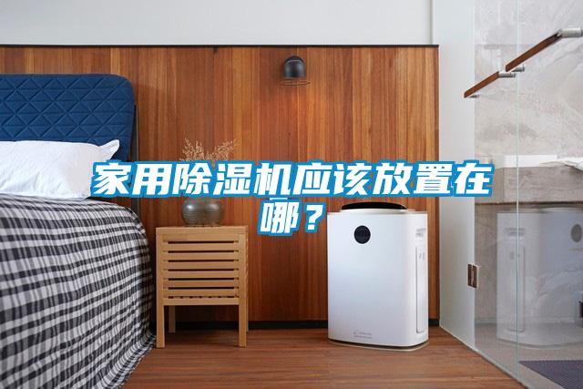 家用除濕機應(yīng)該放置在哪？