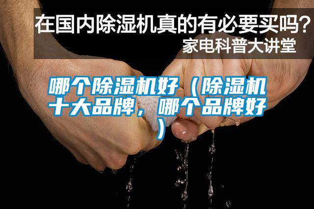哪個除濕機(jī)好（除濕機(jī)十大品牌，哪個品牌好）