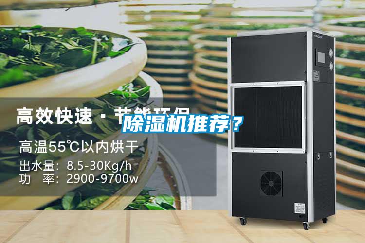 除濕機推薦？