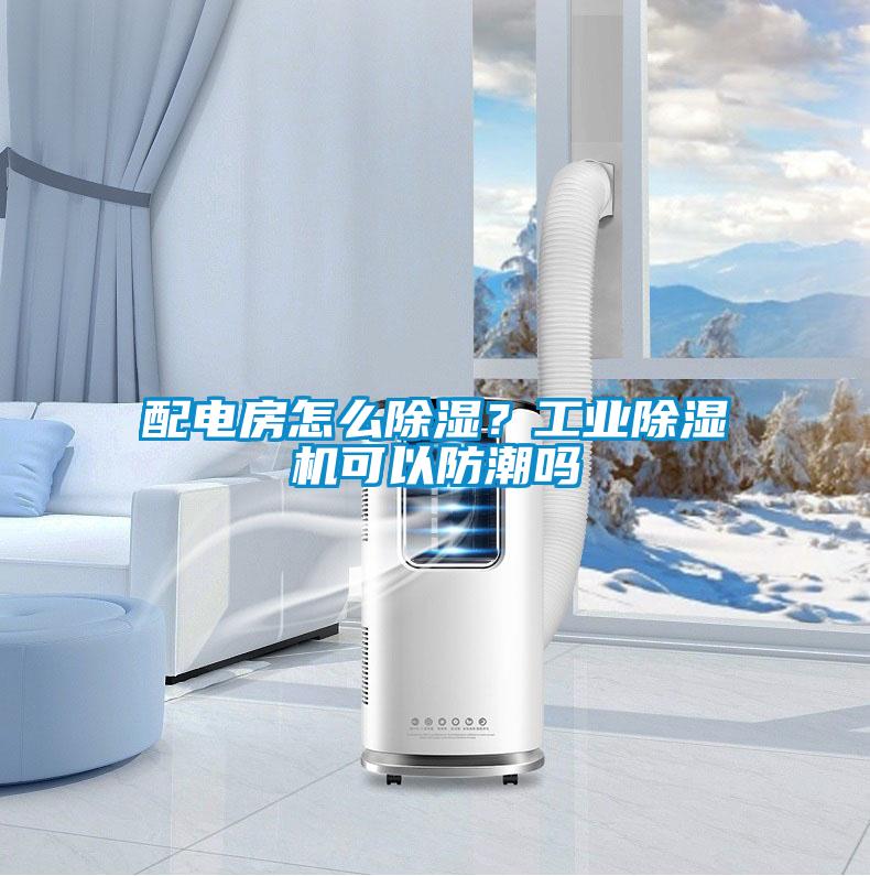 配電房怎么除濕？工業除濕機可以防潮嗎