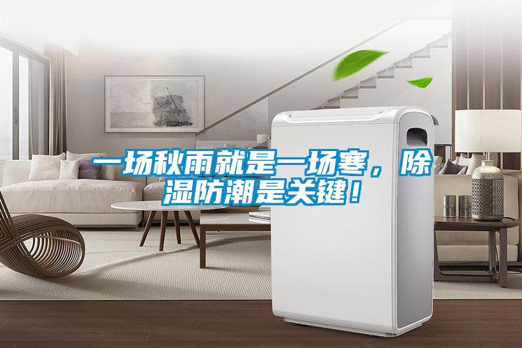 一場秋雨就是一場寒，除濕防潮是關鍵！