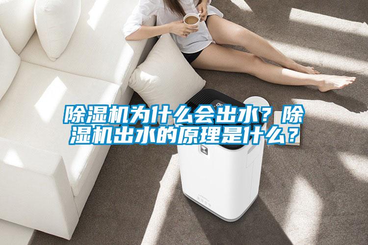 除濕機為什么會出水？除濕機出水的原理是什么？