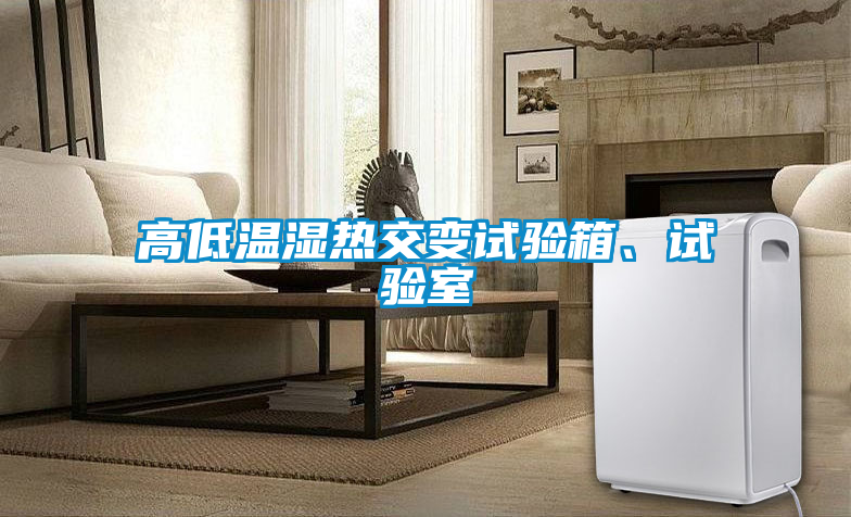 高低溫濕熱交變試驗箱、試驗室