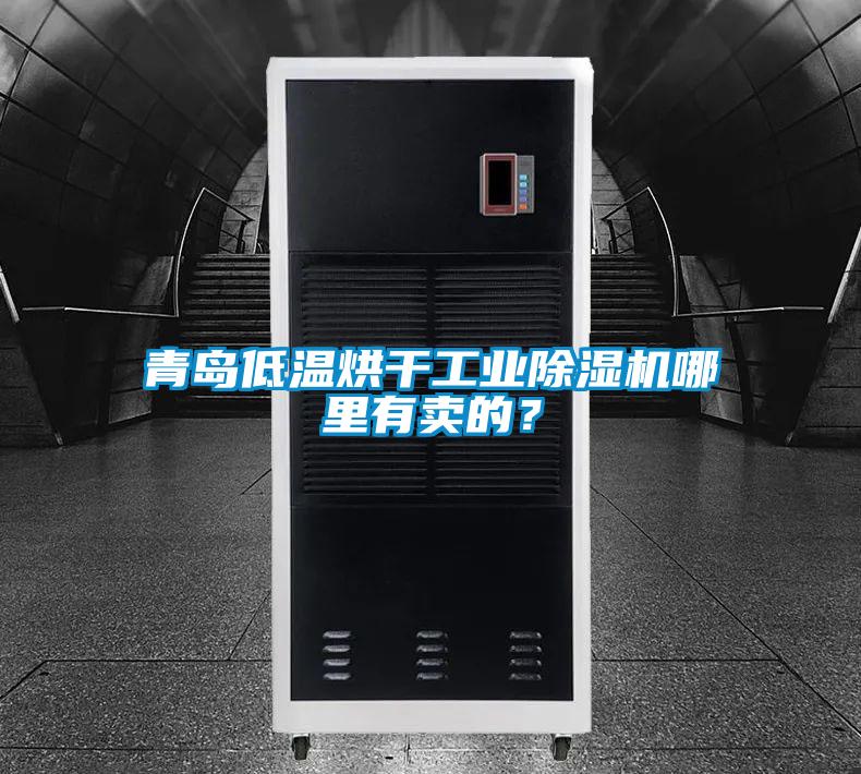 青島低溫烘干工業除濕機哪里有賣的？
