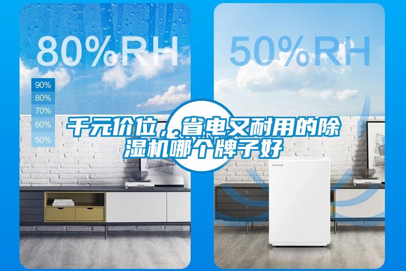 千元價位，省電又耐用的除濕機哪個牌子好