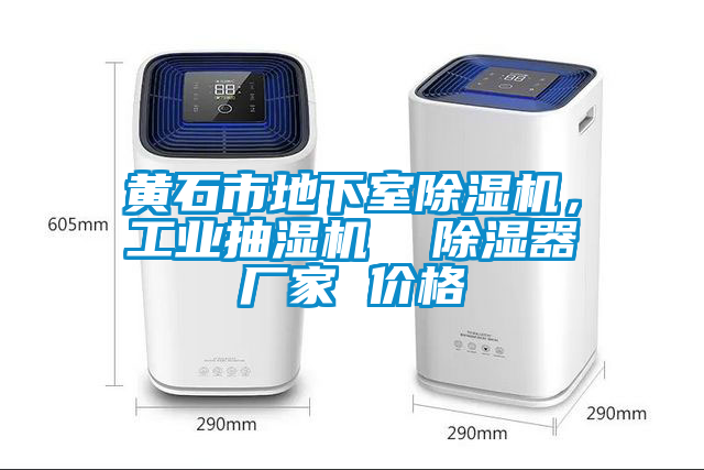 黃石市地下室除濕機，工業抽濕機  除濕器廠家 價格