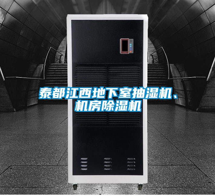 泰都江西地下室抽濕機、機房除濕機