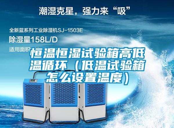 恒溫恒濕試驗箱高低溫循環(huán)（低溫試驗箱怎么設置溫度）
