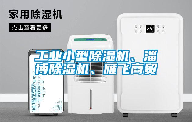 工業(yè)小型除濕機(jī)、淄博除濕機(jī)、雁飛商貿(mào)
