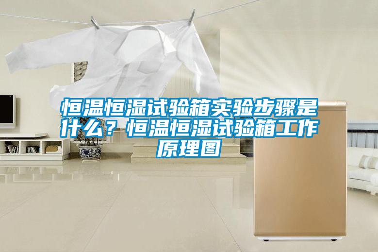恒溫恒濕試驗箱實驗步驟是什么？恒溫恒濕試驗箱工作原理圖