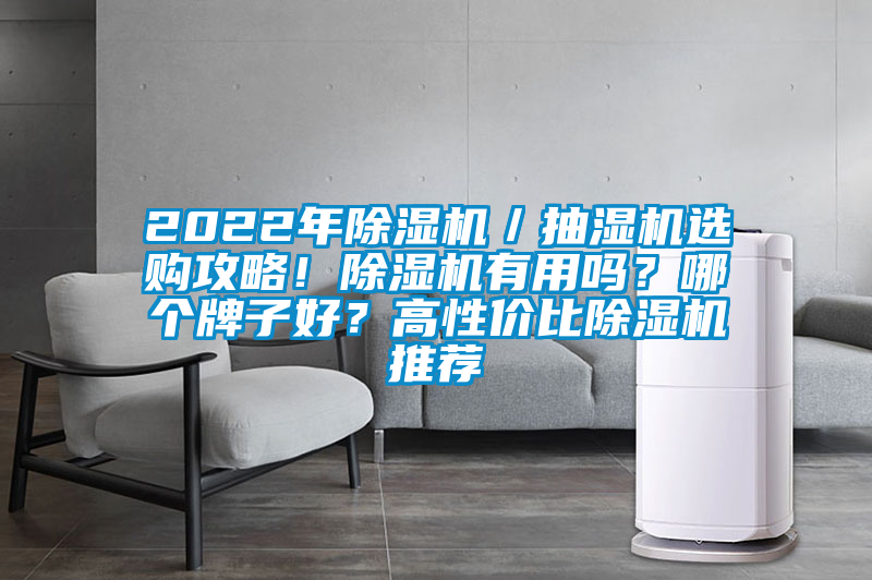 2022年除濕機(jī)／抽濕機(jī)選購(gòu)攻略！除濕機(jī)有用嗎？哪個(gè)牌子好？高性?xún)r(jià)比除濕機(jī)推薦