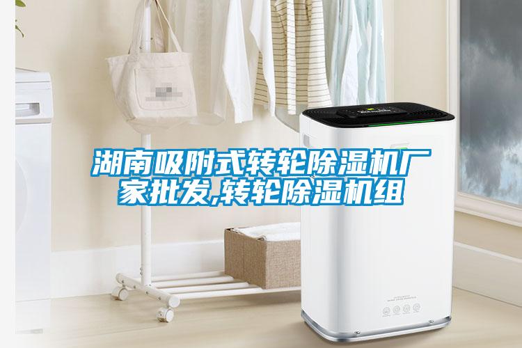 湖南吸附式轉輪除濕機廠家批發(fā),轉輪除濕機組