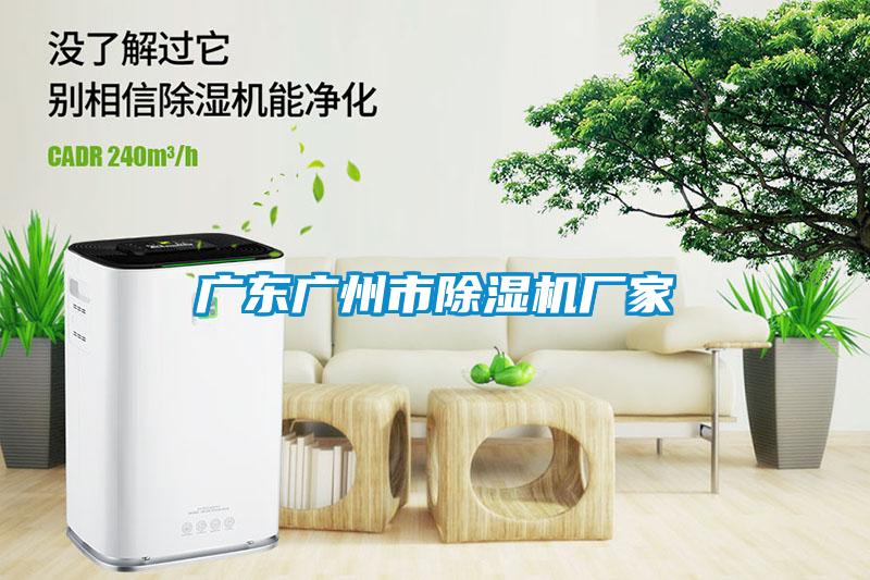 廣東廣州市除濕機(jī)廠(chǎng)家