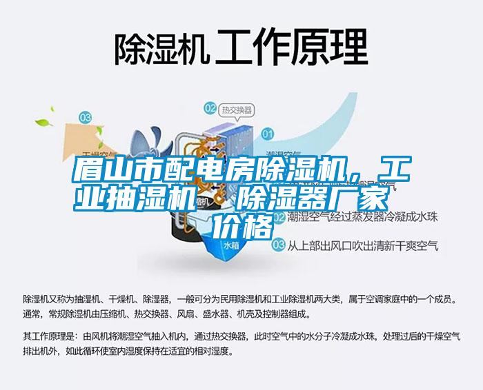 眉山市配電房除濕機，工業(yè)抽濕機  除濕器廠家 價格