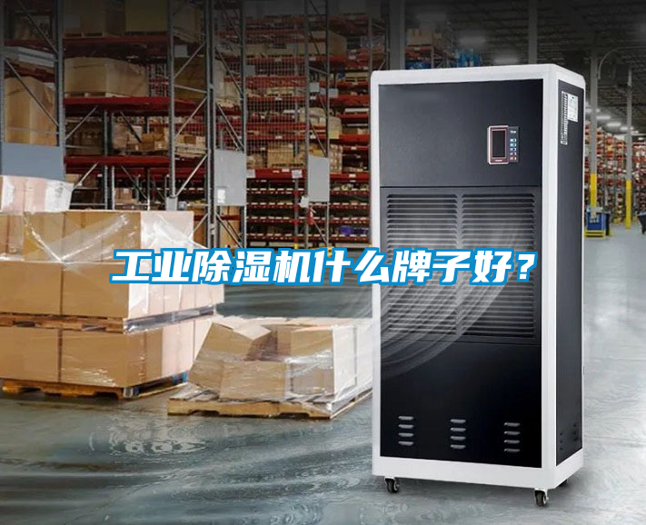 工業(yè)除濕機(jī)什么牌子好？