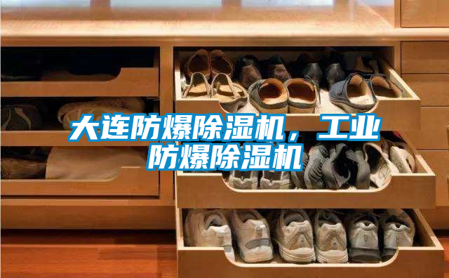 大連防爆除濕機，工業(yè)防爆除濕機