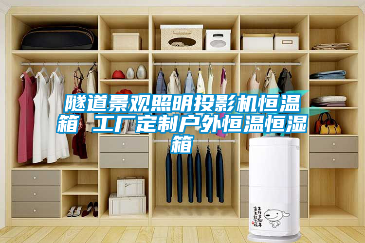 隧道景觀照明投影機(jī)恒溫箱 工廠定制戶(hù)外恒溫恒濕箱