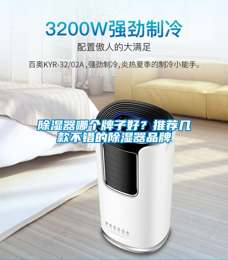除濕器哪個(gè)牌子好？推薦幾款不錯(cuò)的除濕器品牌