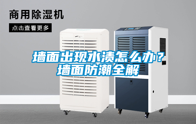 墻面出現(xiàn)水漬怎么辦？墻面防潮全解