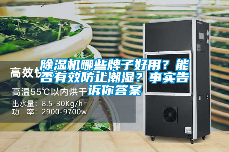 除濕機哪些牌子好用？能否有效防止潮濕？事實告訴你答案