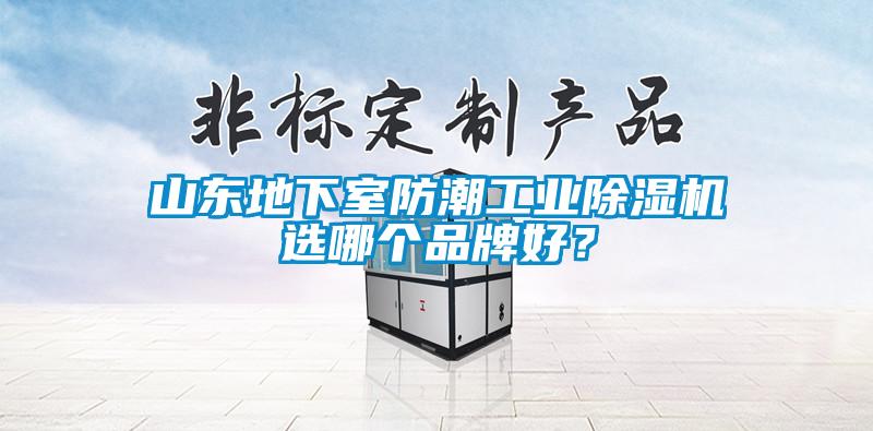 山東地下室防潮工業(yè)除濕機選哪個品牌好？