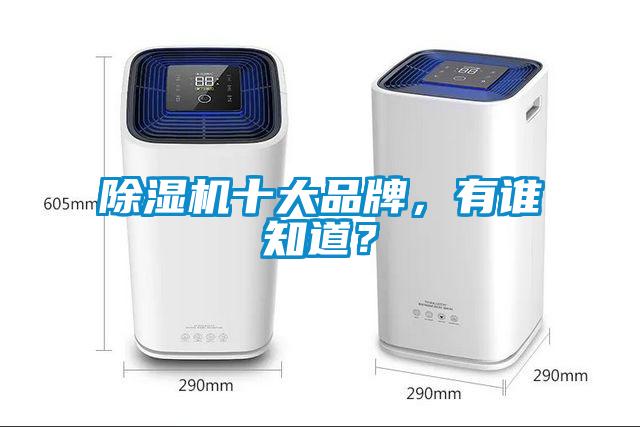 除濕機十大品牌，有誰知道？