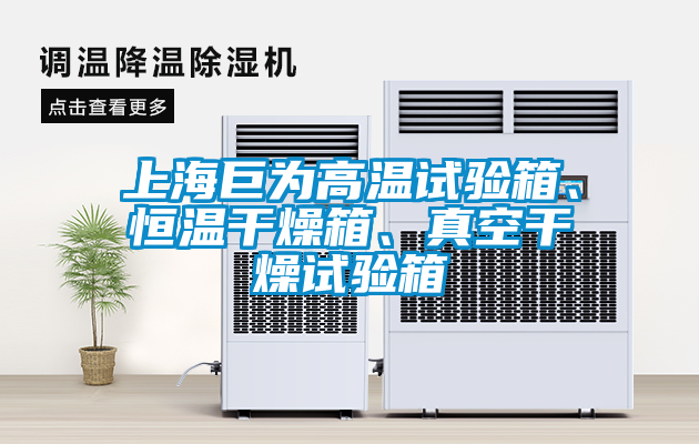 上海巨為高溫試驗(yàn)箱、恒溫干燥箱、真空干燥試驗(yàn)箱
