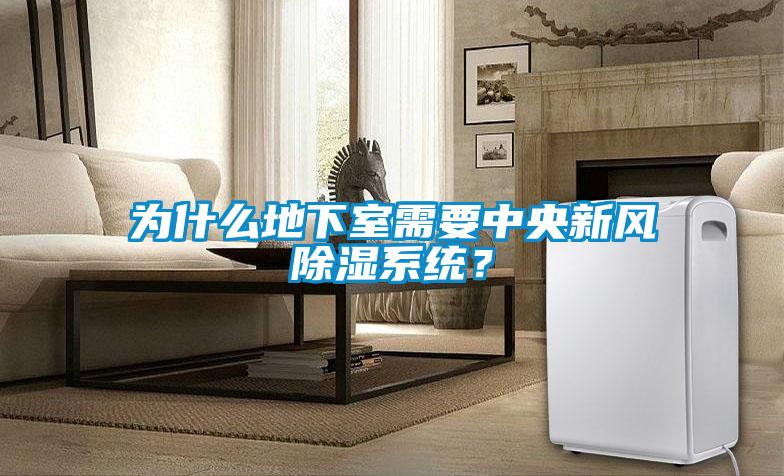 為什么地下室需要中央新風除濕系統？