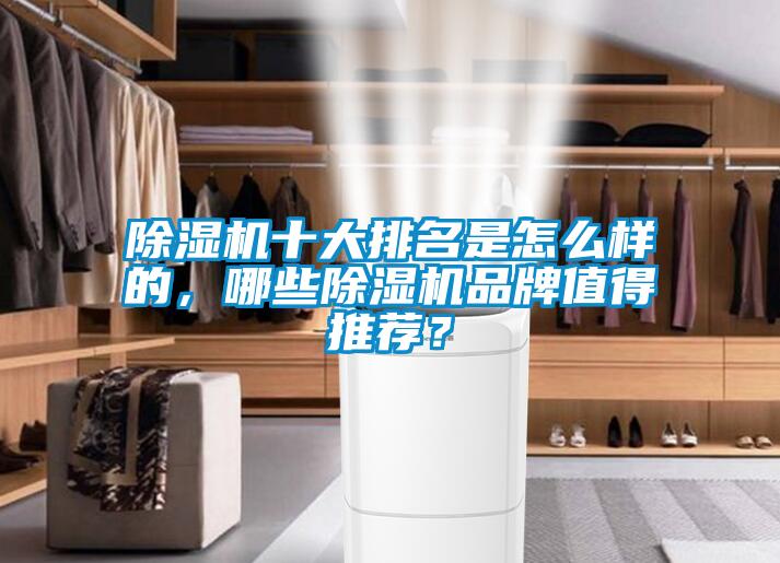 除濕機十大排名是怎么樣的，哪些除濕機品牌值得推薦？