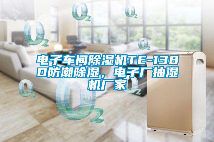 電子車間除濕機(jī)TE-138D防潮除濕，電子廠抽濕機(jī)廠家