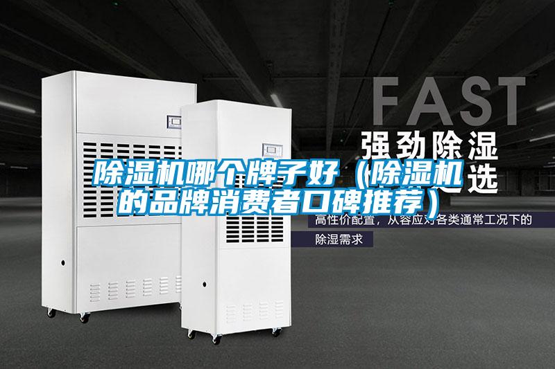 除濕機(jī)哪個牌子好（除濕機(jī)的品牌消費者口碑推薦）