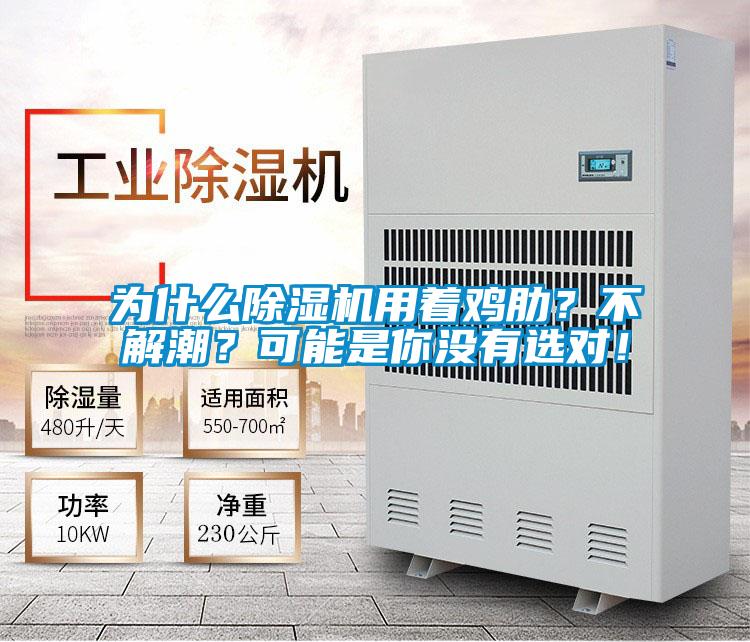 為什么除濕機(jī)用著雞肋？不解潮？可能是你沒有選對！