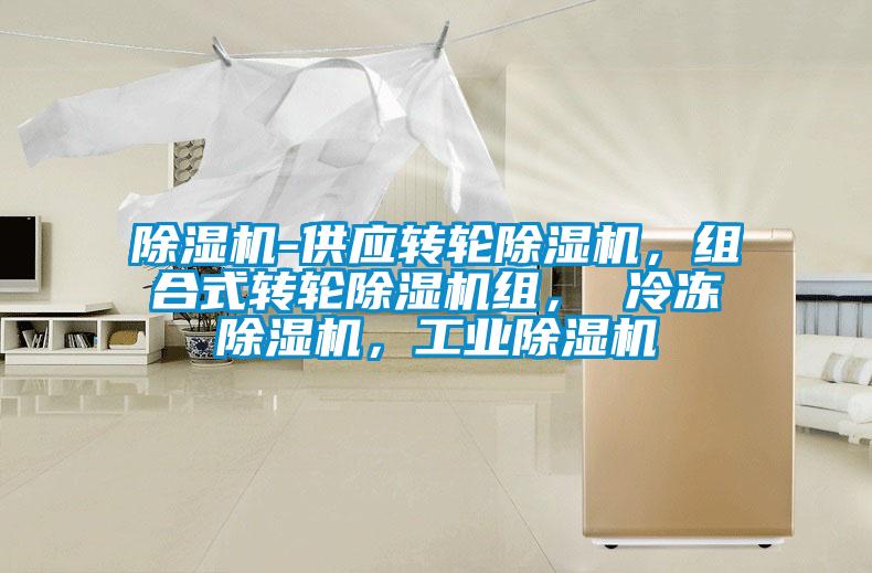 除濕機-供應轉(zhuǎn)輪除濕機，組合式轉(zhuǎn)輪除濕機組， 冷凍除濕機，工業(yè)除濕機