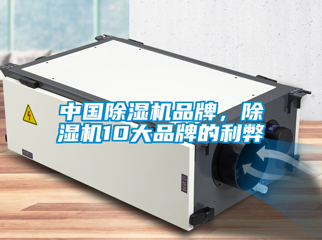 中國(guó)除濕機(jī)品牌，除濕機(jī)10大品牌的利弊