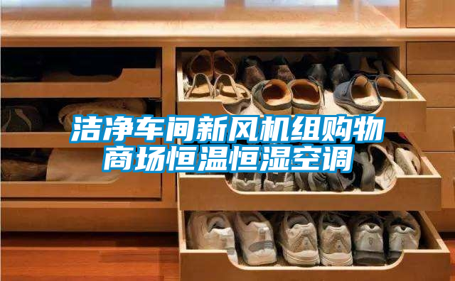 潔凈車間新風(fēng)機組購物商場恒溫恒濕空調(diào)