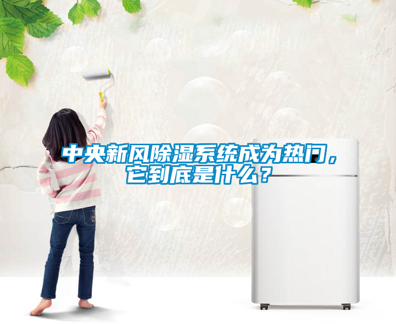 中央新風除濕系統(tǒng)成為熱門，它到底是什么？