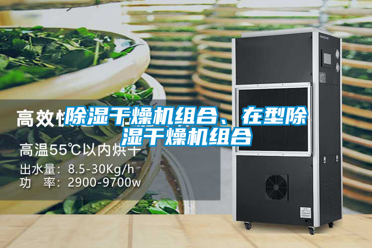 除濕干燥機組合、在型除濕干燥機組合