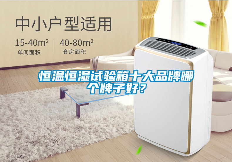 恒溫恒濕試驗箱十大品牌哪個牌子好？