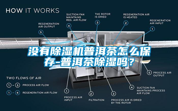 沒有除濕機普洱茶怎么保存-普洱茶除濕嗎？