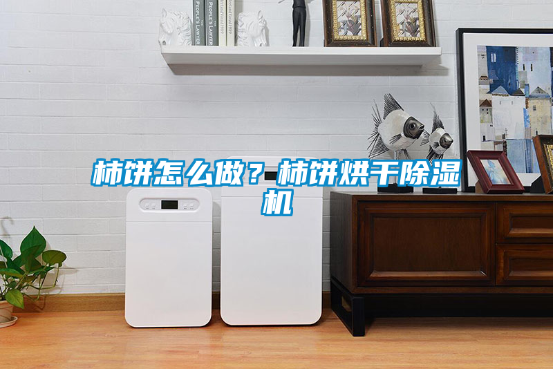 柿餅怎么做？柿餅烘干除濕機