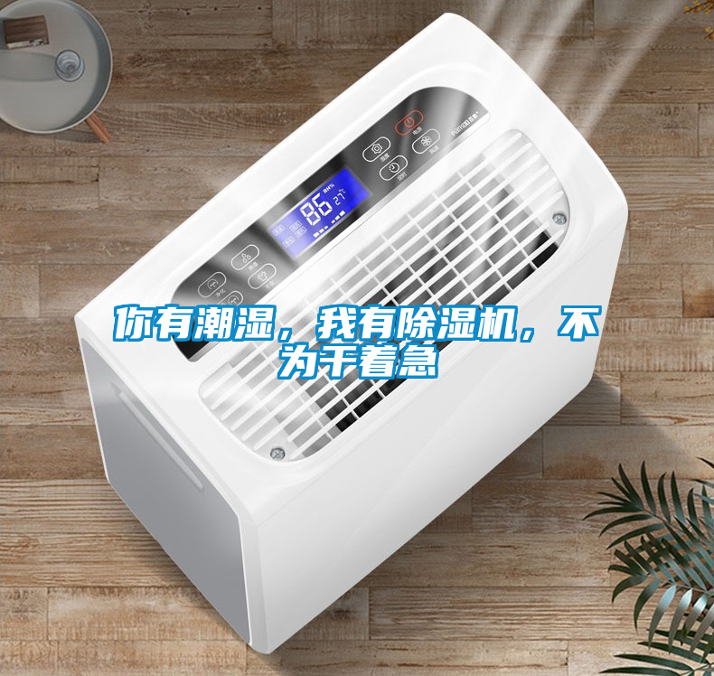 你有潮濕，我有除濕機，不為干著急